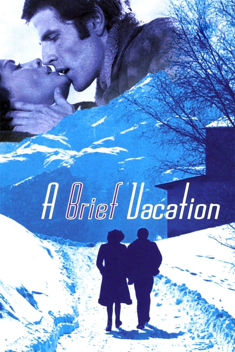 Poster of A Brief Vacation