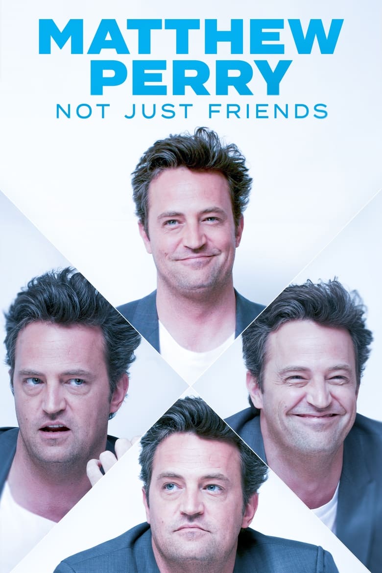 Poster of Matthew Perry: Not just Friends