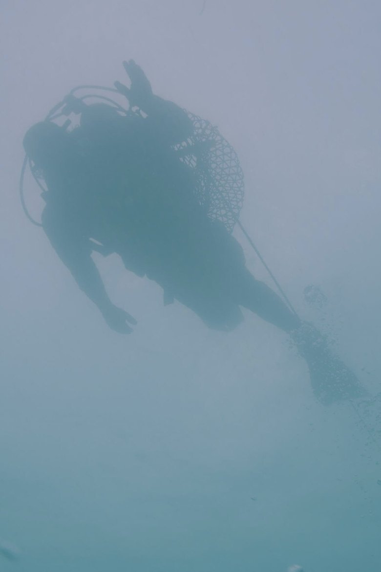 Poster of See, See, Sea