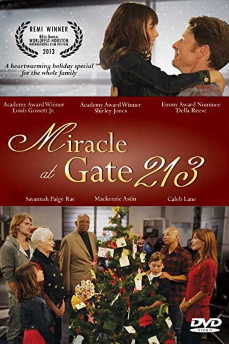 Poster of Miracle at Gate 213
