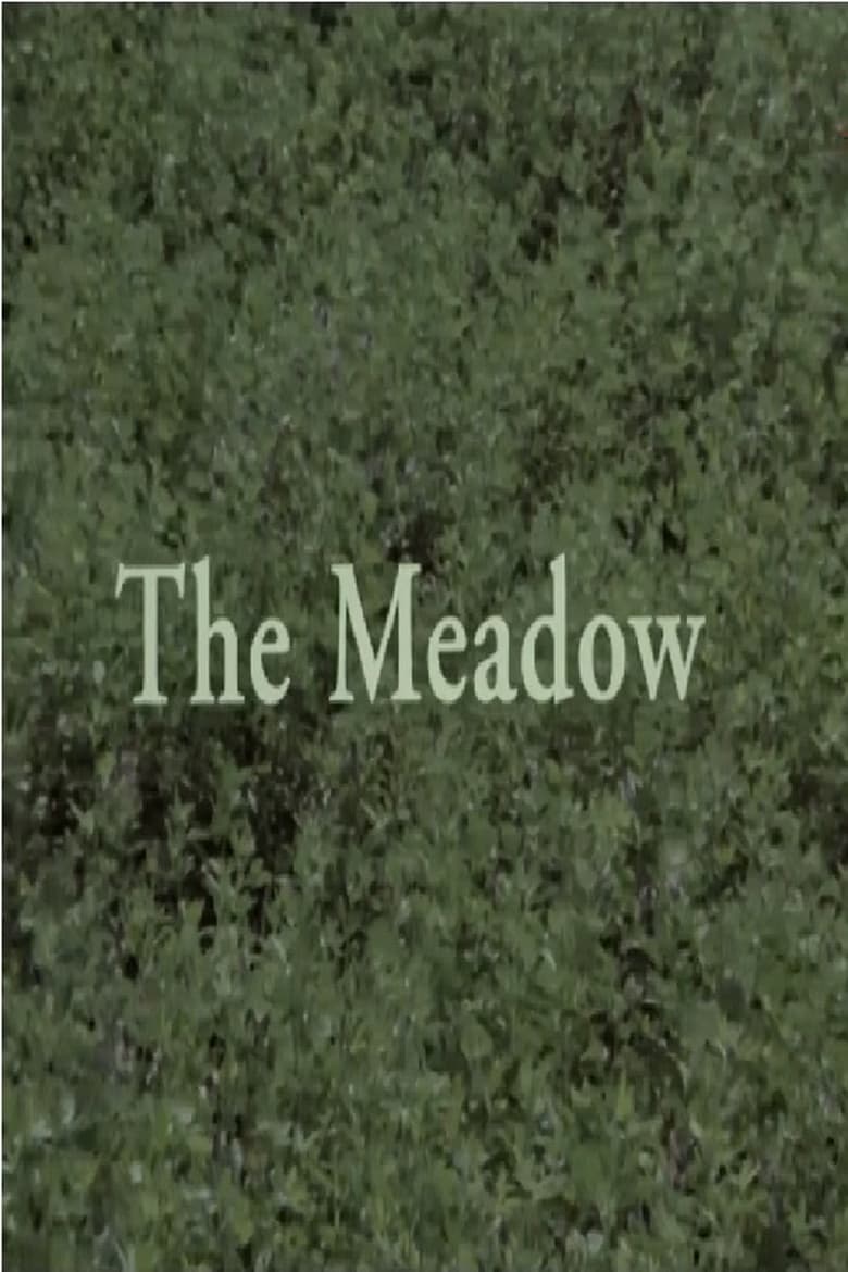 Poster of The Meadow