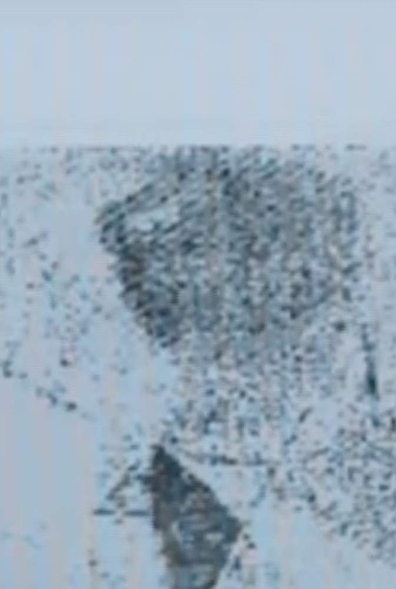 Poster of A Video