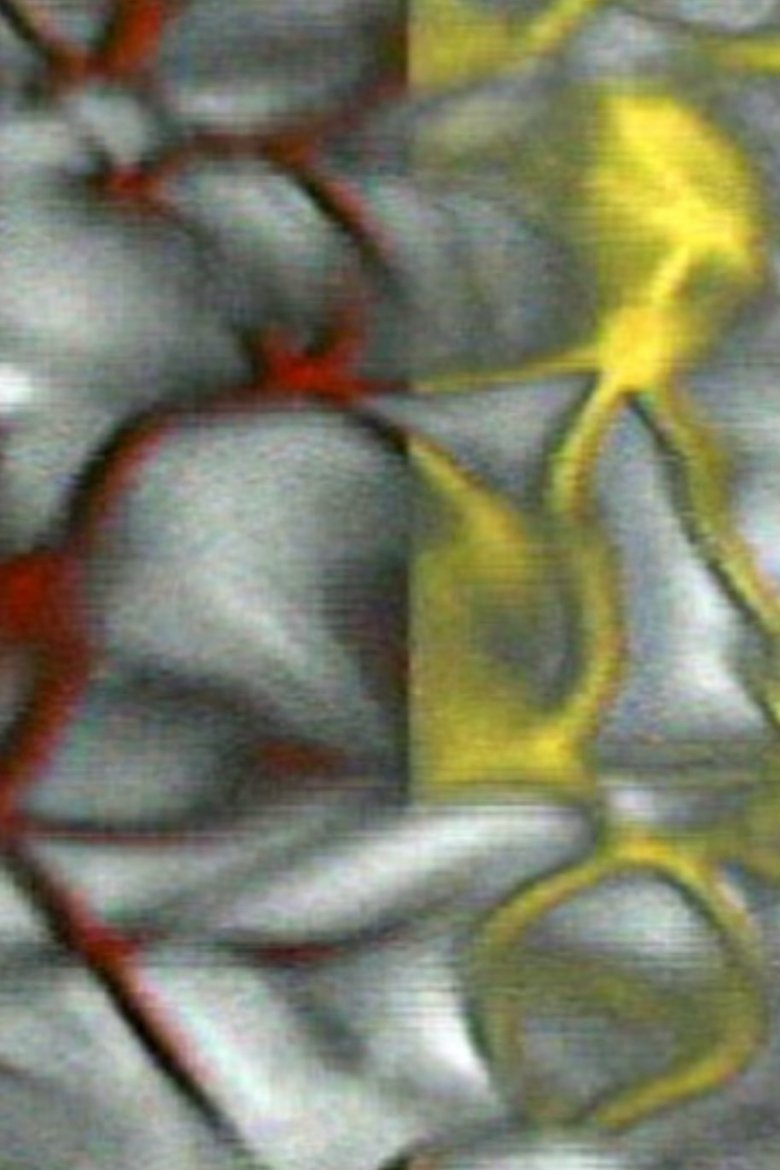 Poster of Split/Flow