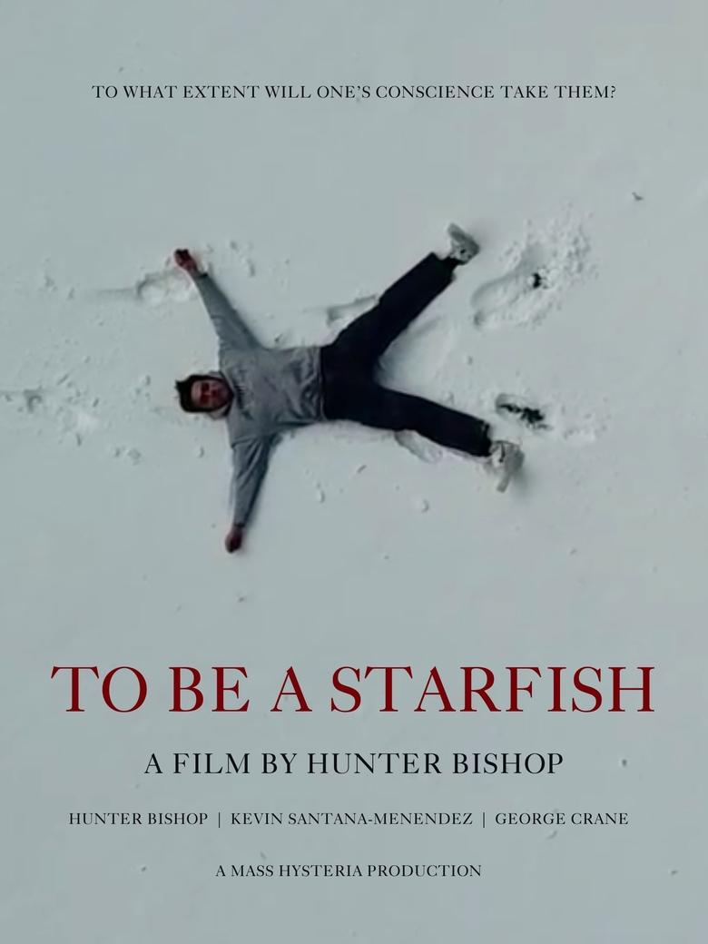Poster of To Be a Starfish