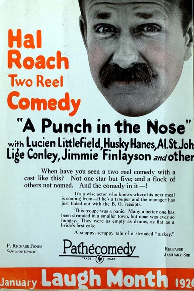 Poster of A Punch in the Nose