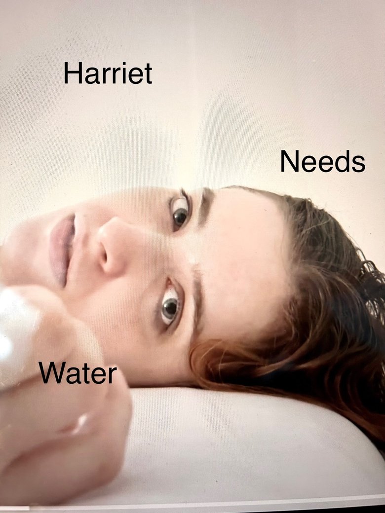 Poster of Harriet Needs Water