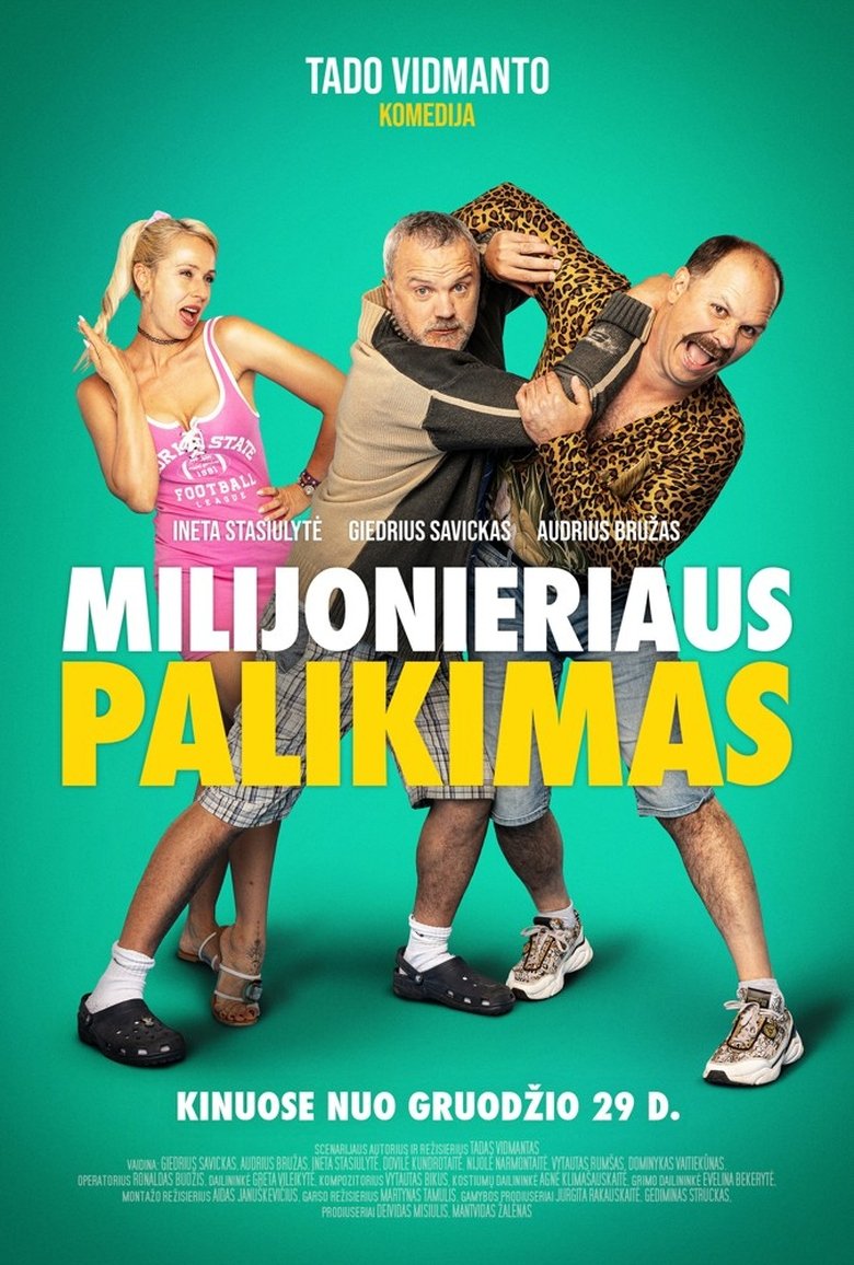 Poster of The Millionaire's Legacy