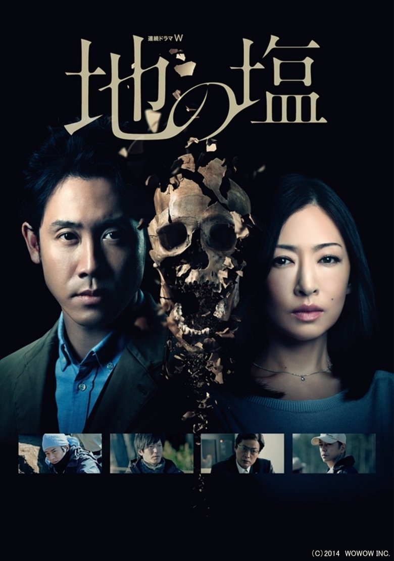 Poster of Salt of the Earth