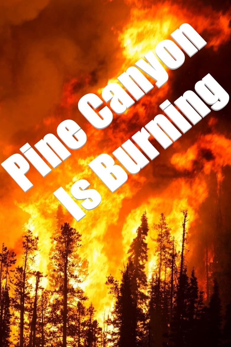 Poster of Pine Canyon Is Burning