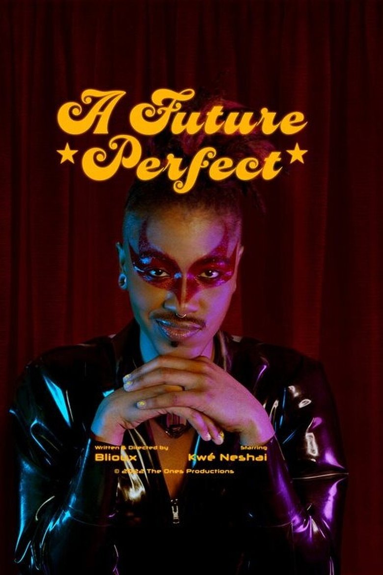 Poster of A Future Perfect