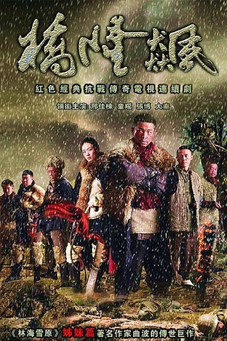 Poster of 桥隆飙