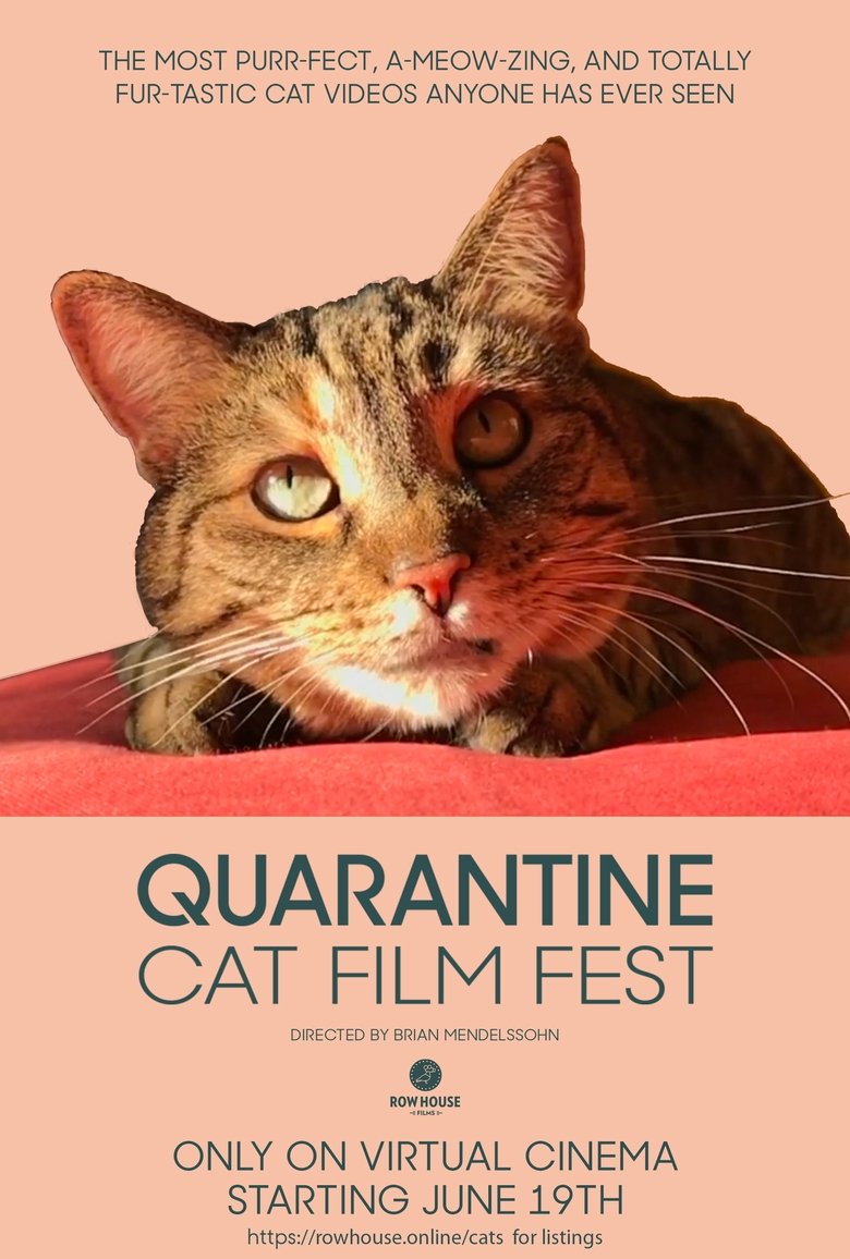 Poster of Quarantine Cat Film Festival