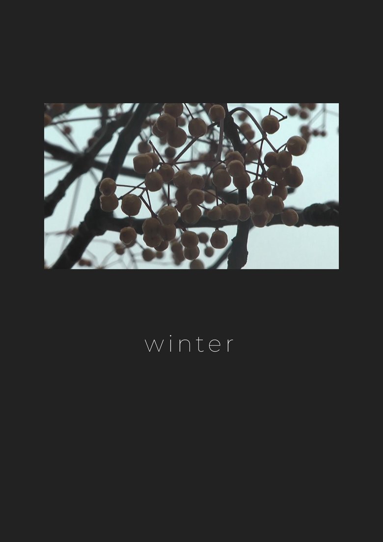 Poster of Winter