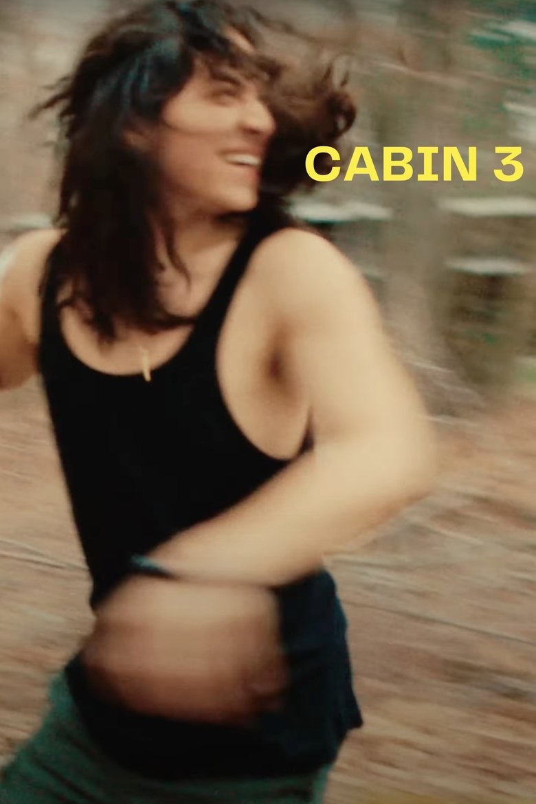 Poster of CABIN 3