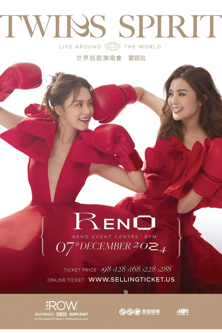 Poster of Twins SPIRIT Since 2001 Live 2024