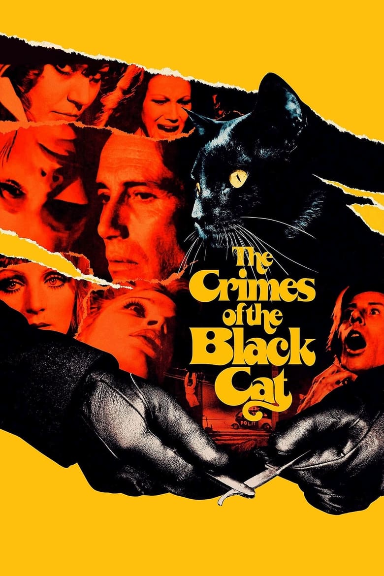 Poster of The Crimes of the Black Cat