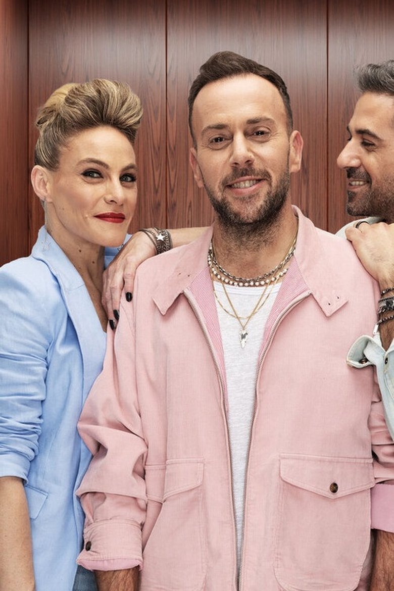 Poster of הגולדשטיינים