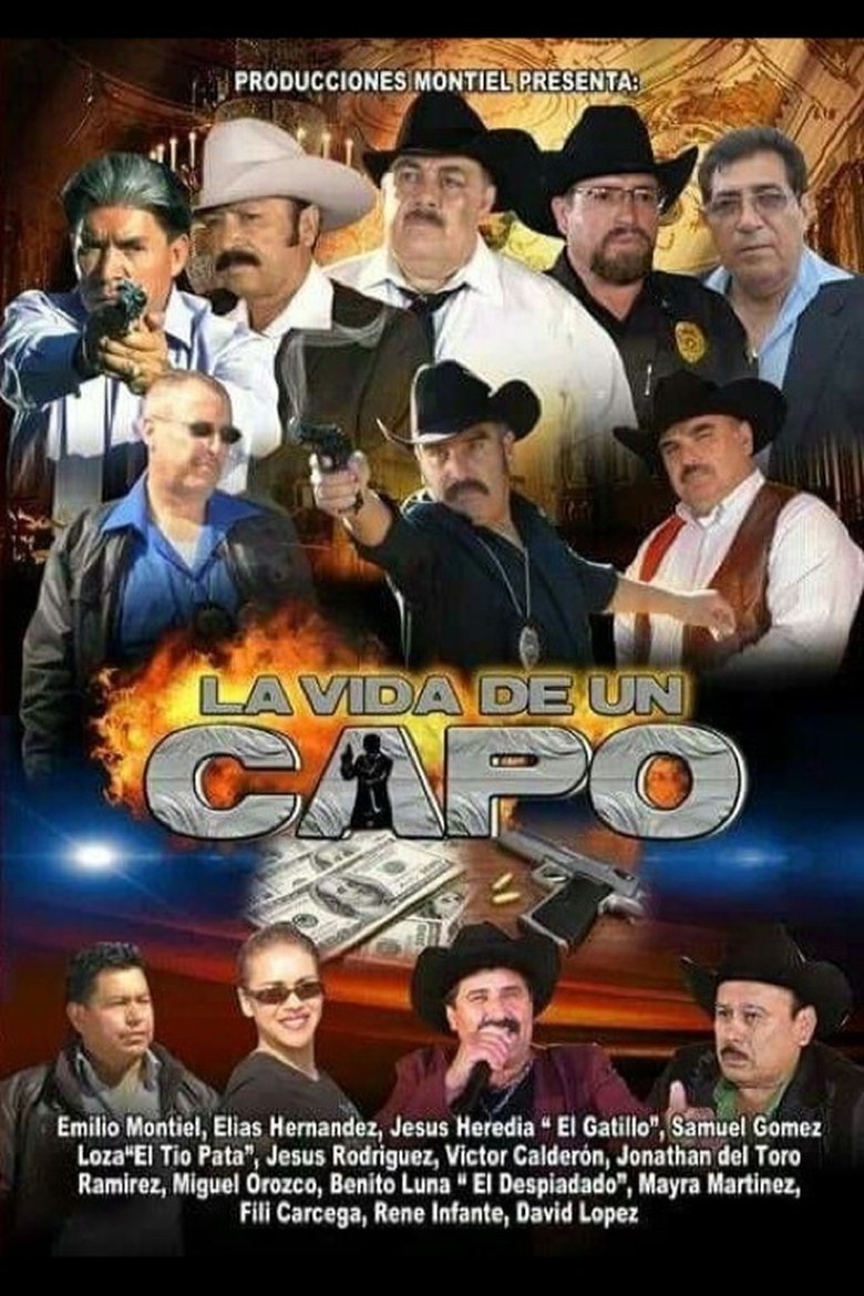 Poster of La Vida De Un Capo