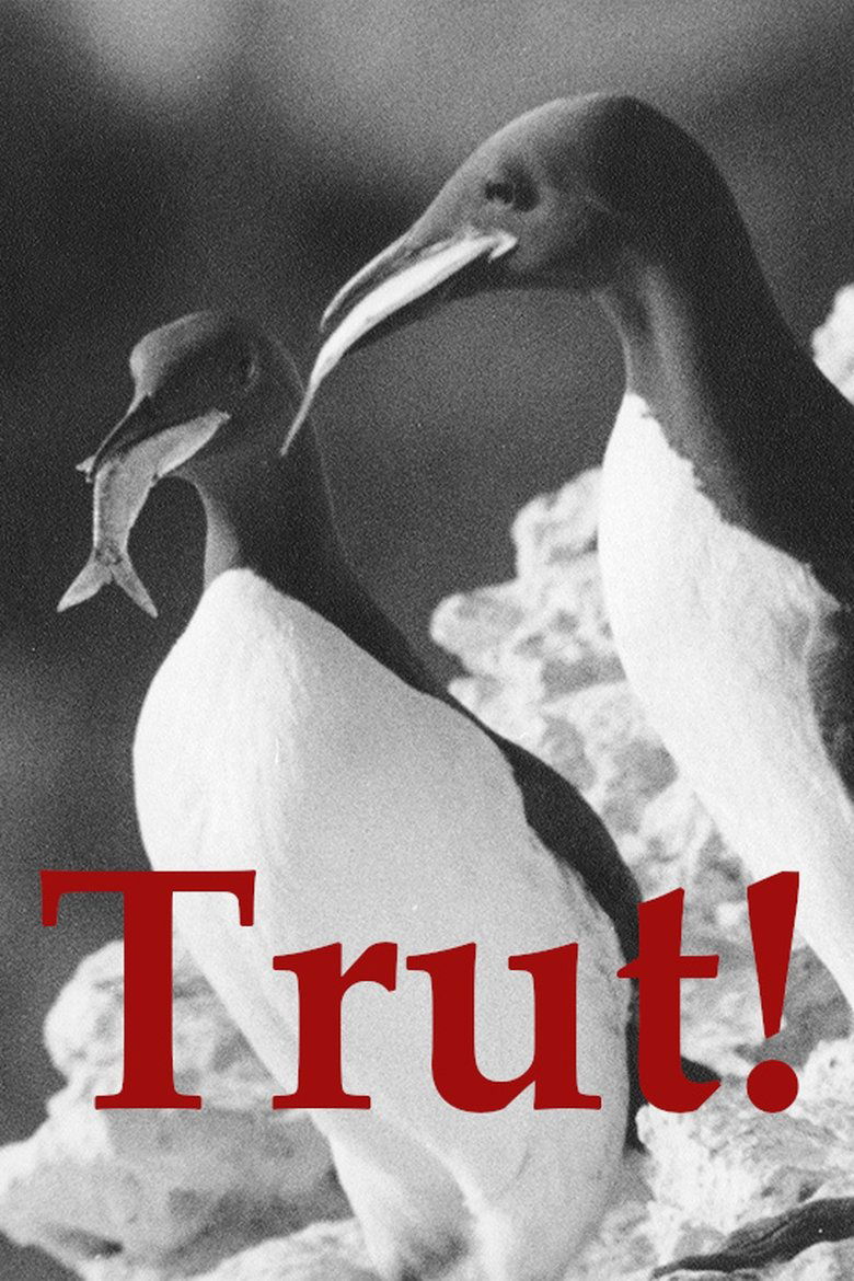 Poster of The Gulls