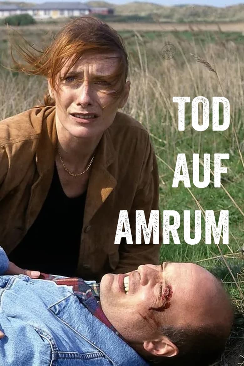 Poster of Tod auf Amrum
