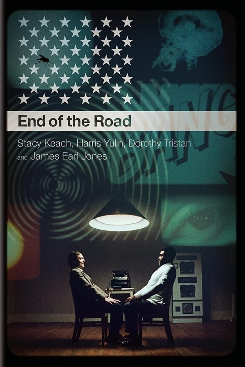 Poster of An Amazing Time: A Conversation About End of the Road