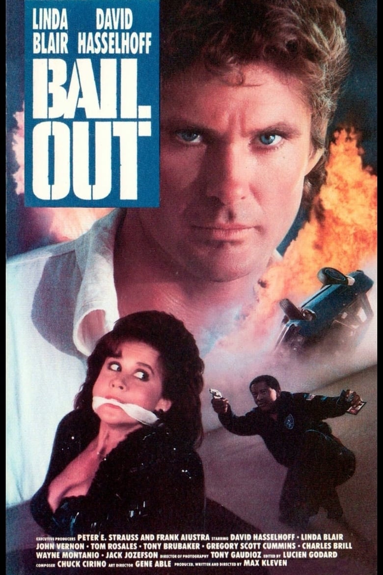 Poster of Bail Out