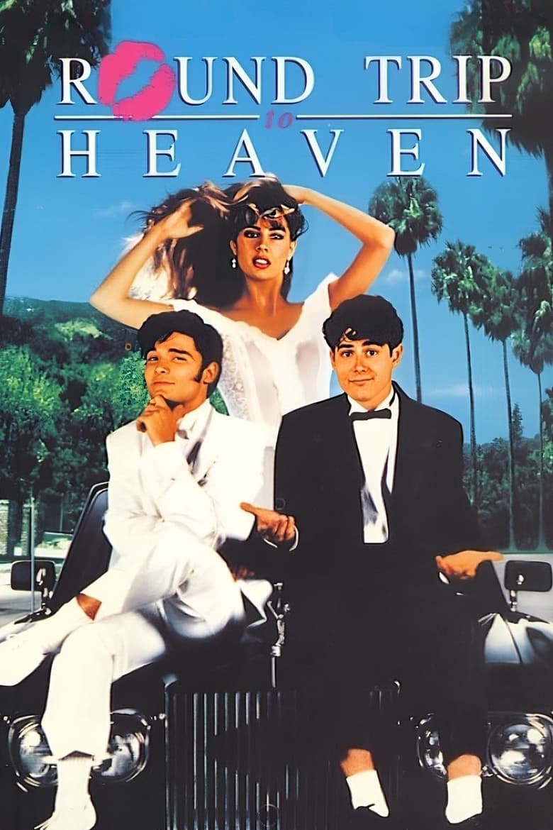 Poster of Round Trip to Heaven