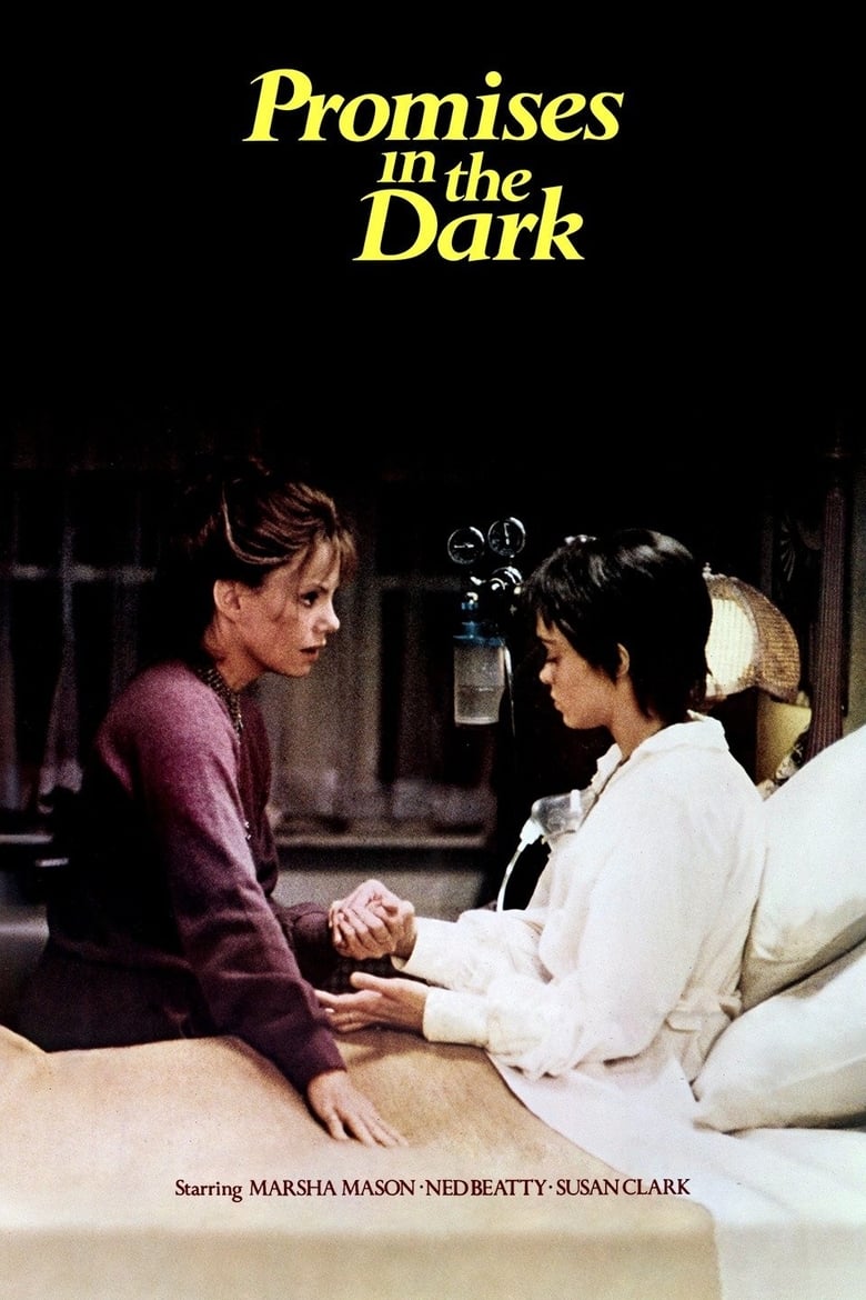Poster of Promises in the Dark