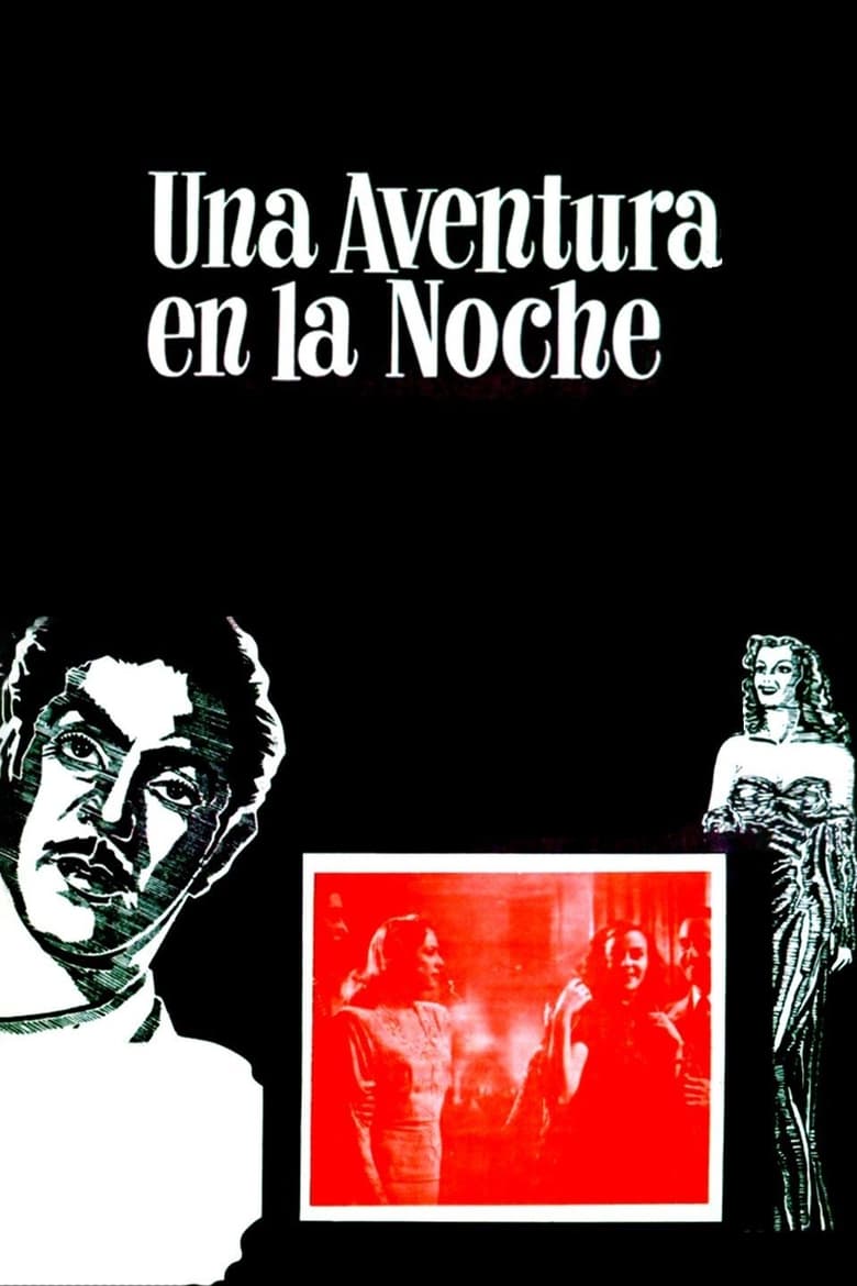 Poster of Una aventura en la noche