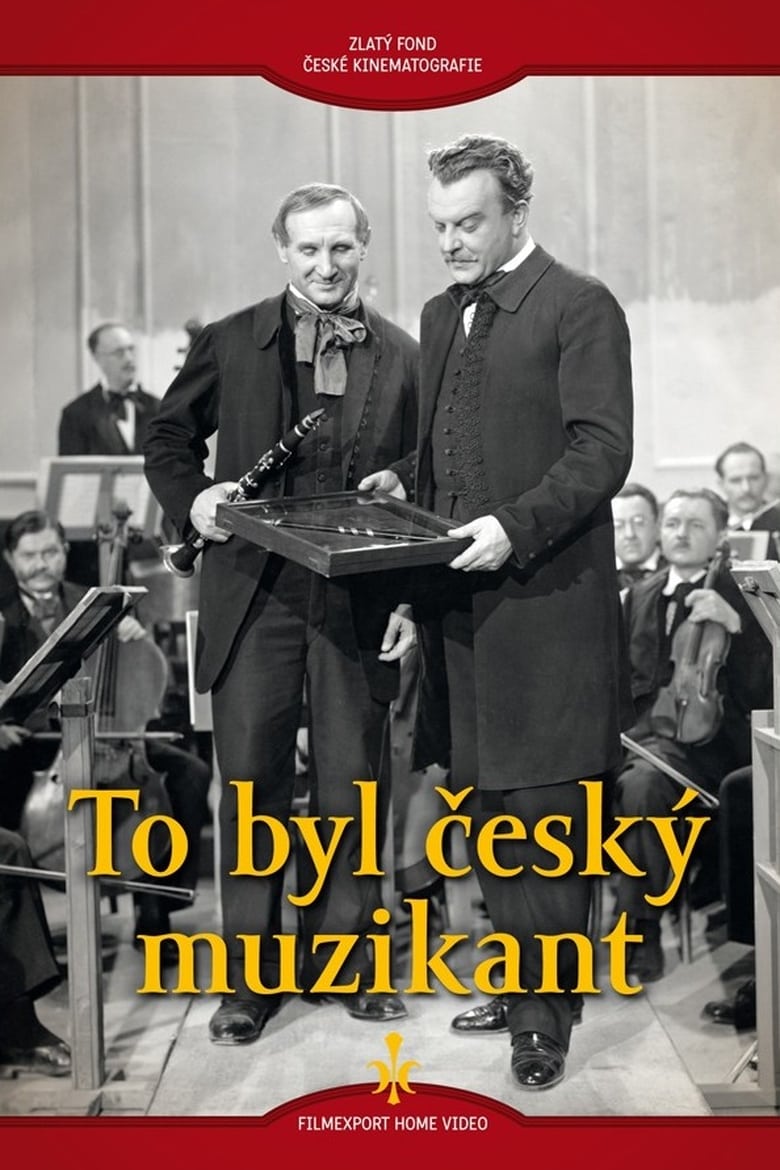 Poster of To byl český muzikant