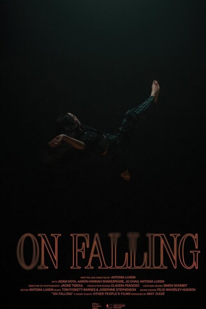 Poster of On Falling