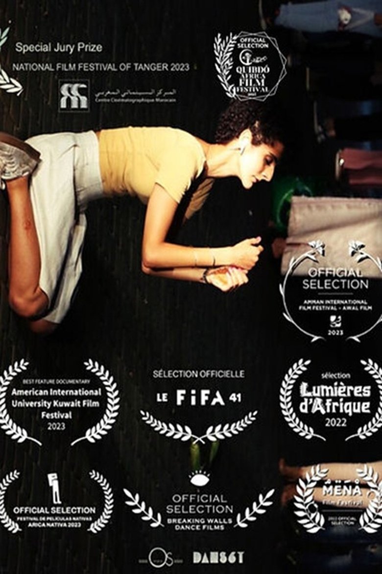 Poster of Broken Mirrors