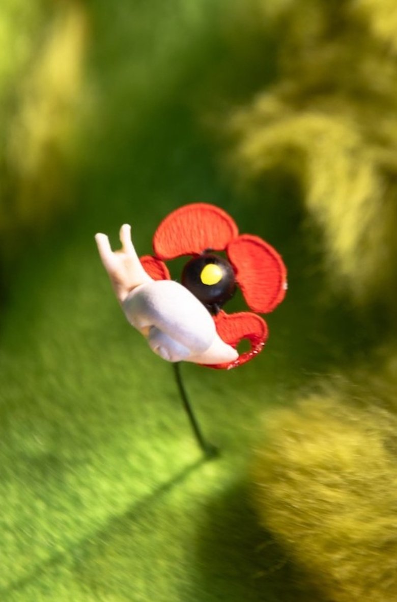 Poster of Une Coquille sur le Coquelicot