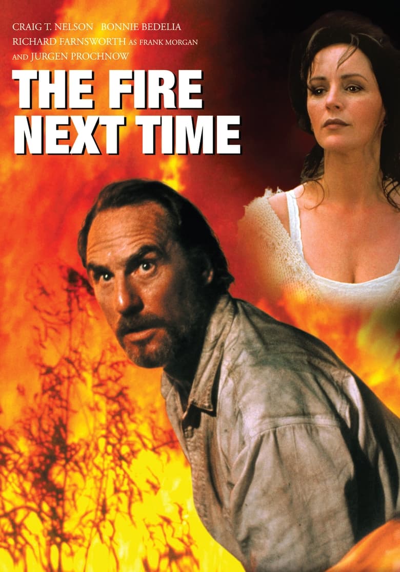 Poster of The Fire Next Time