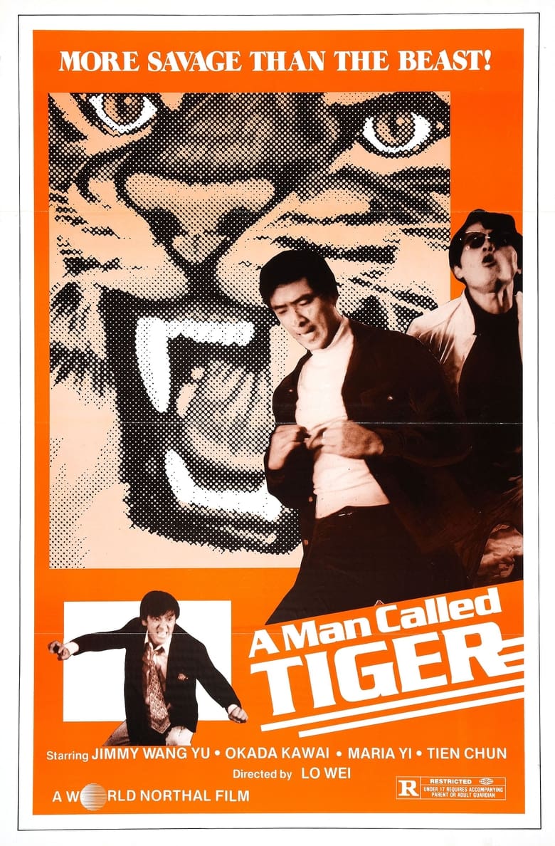 Poster of A Man Called Tiger