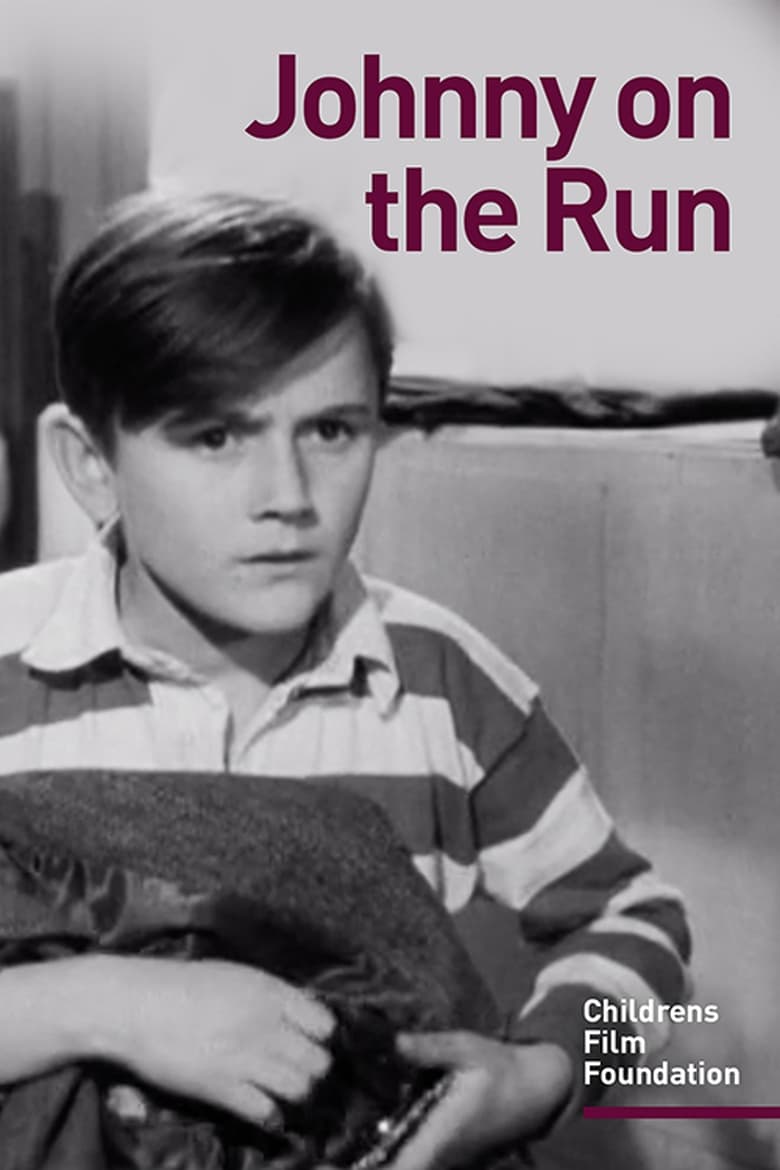 Poster of Johnny on the Run