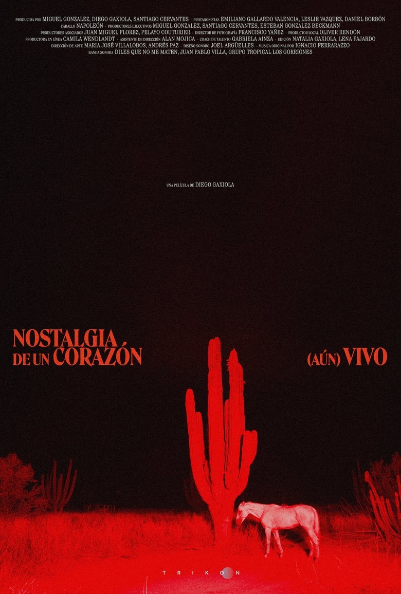 Poster of Nostalgia of a (Still) Alive Heart