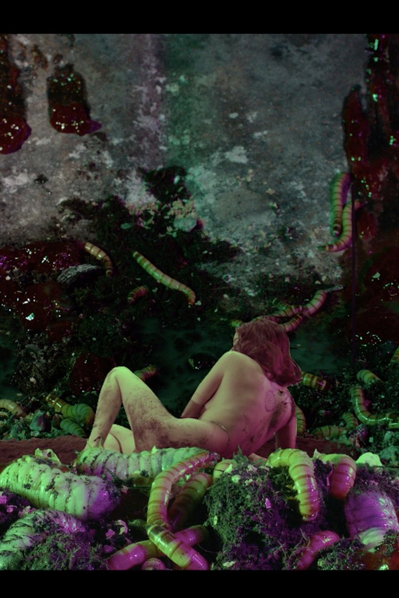 Poster of Mother's Gut