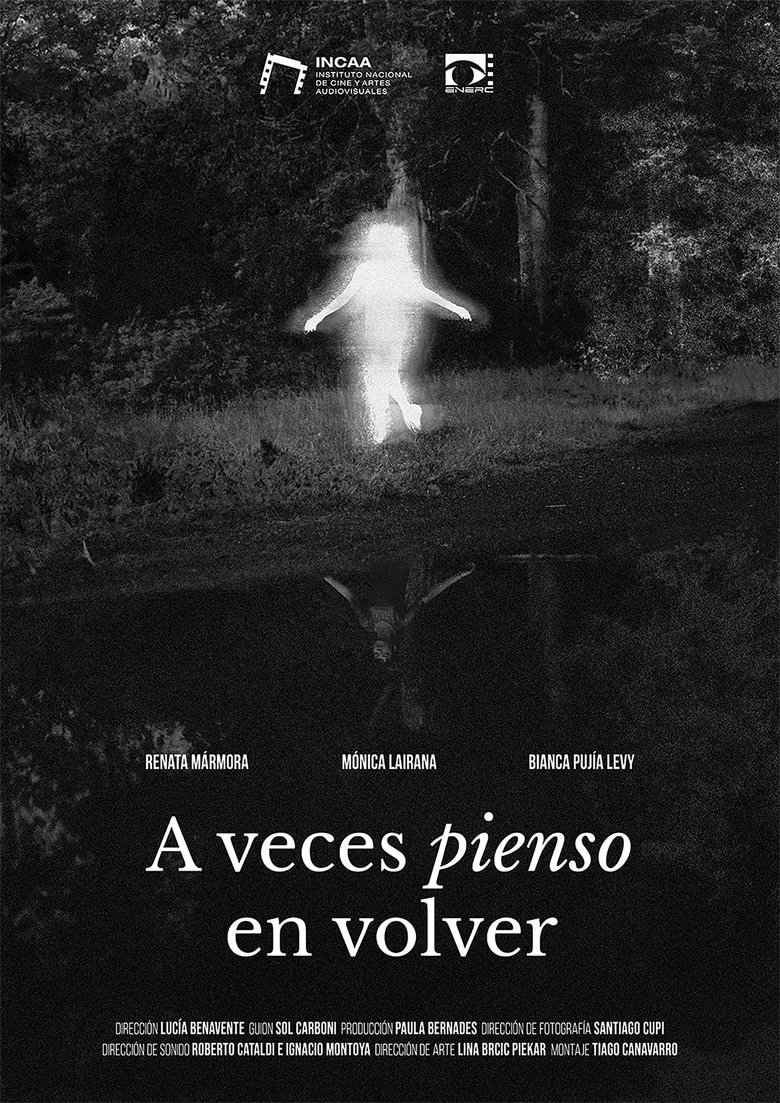Poster of A veces pienso en volver