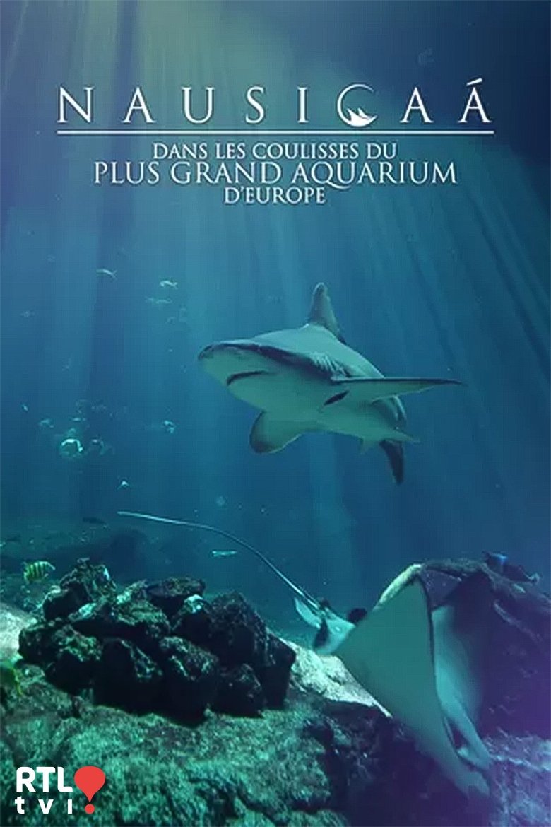 Poster of Nausicaá : dans les coulisses du plus grand aquarium d'Europe