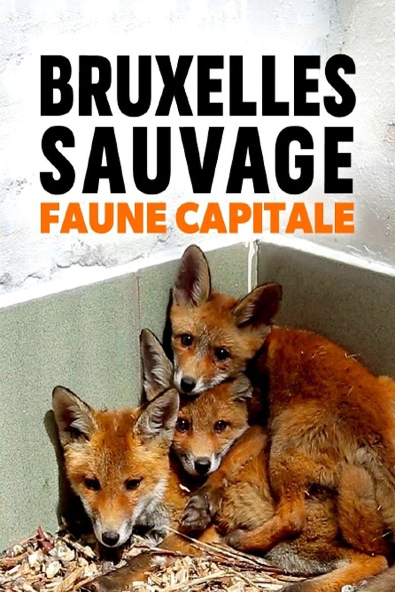 Poster of Brussels, the Wild Side