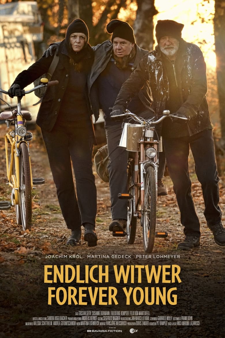 Poster of Endlich Witwer - Forever Young