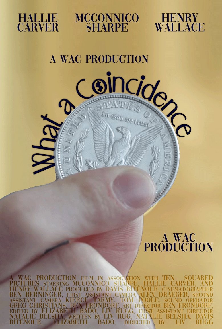 Poster of What a Coincidence