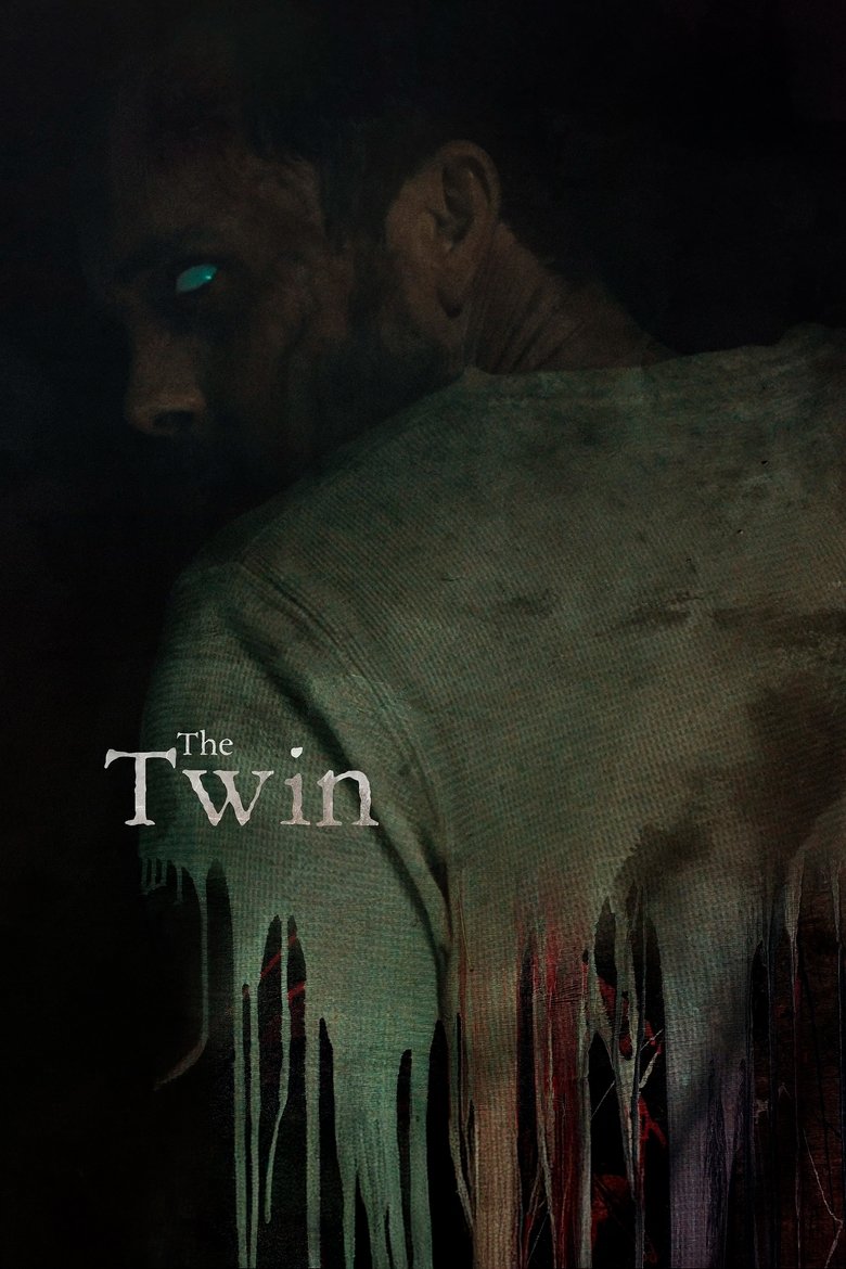 Poster of The Twin