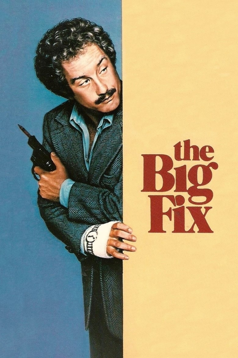 Poster of The Big Fix