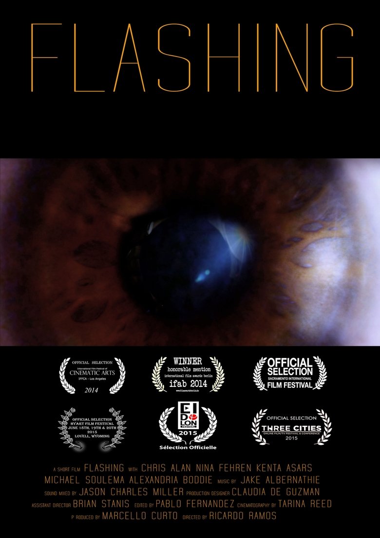 Poster of Flashing