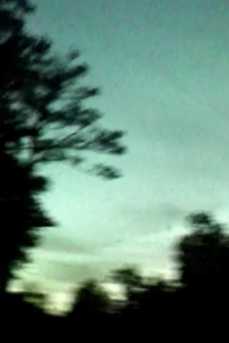 Poster of Magnanimous Despair