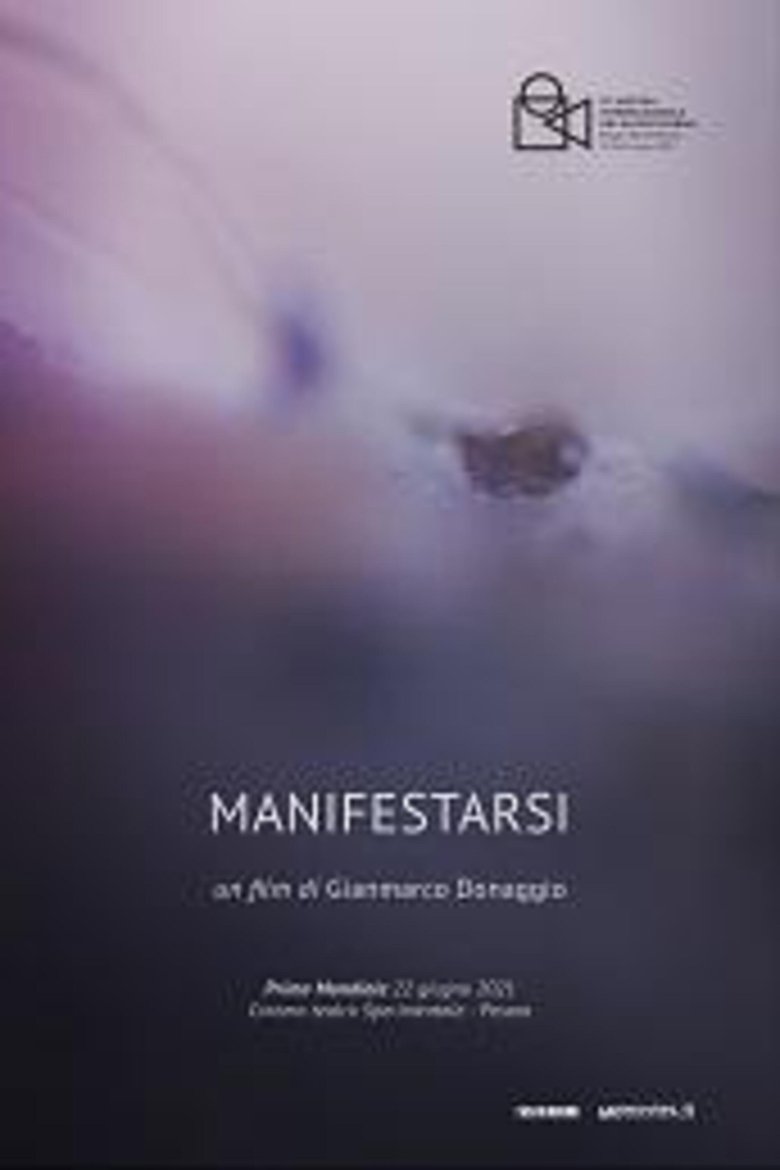 Poster of Manifestarsi