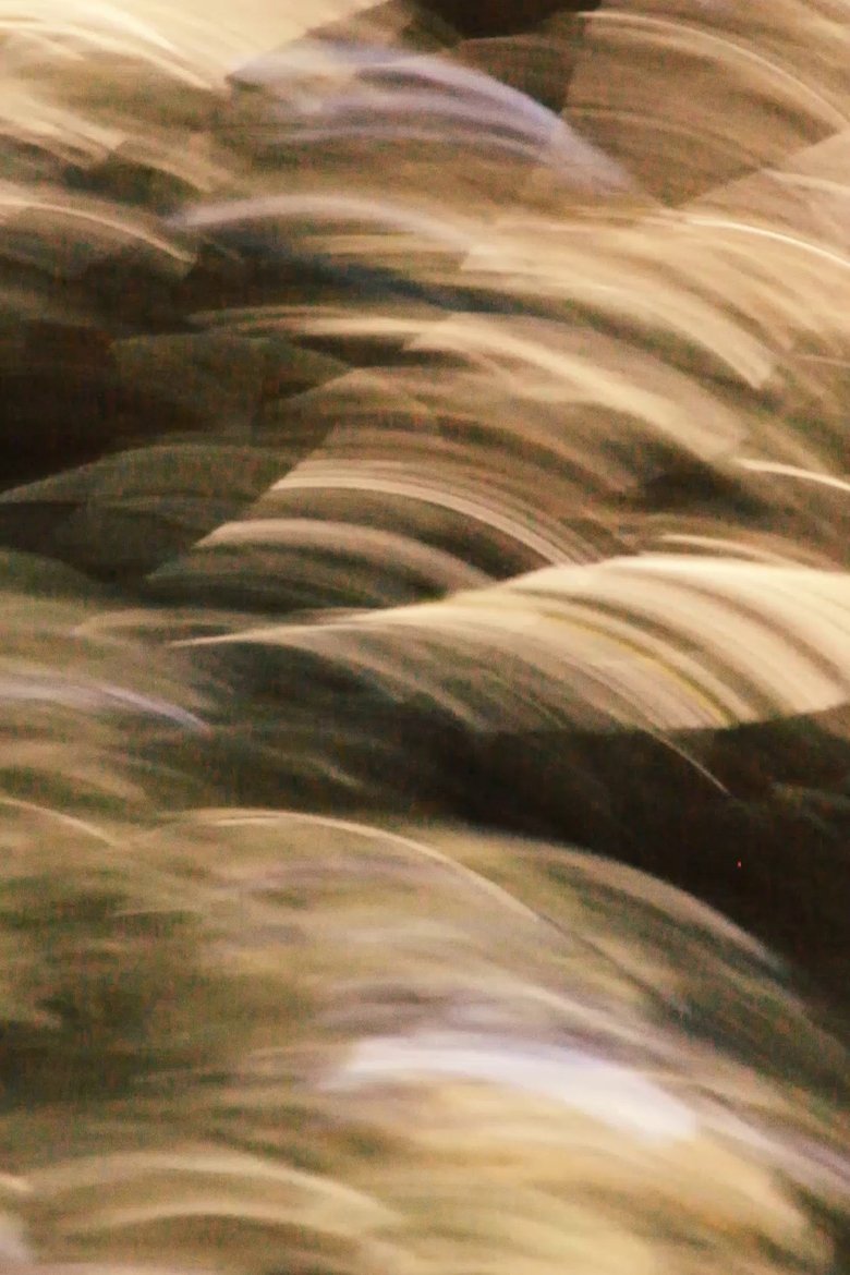 Poster of brushstrokes