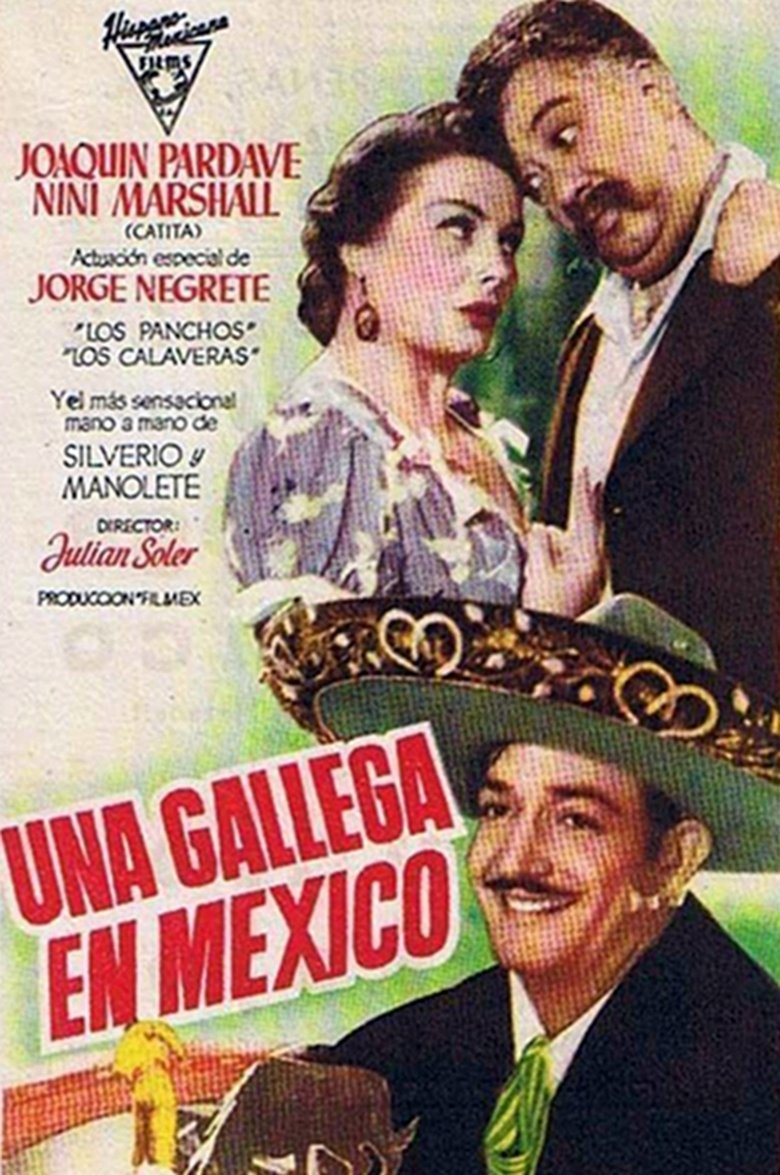 Poster of Una gallega en México